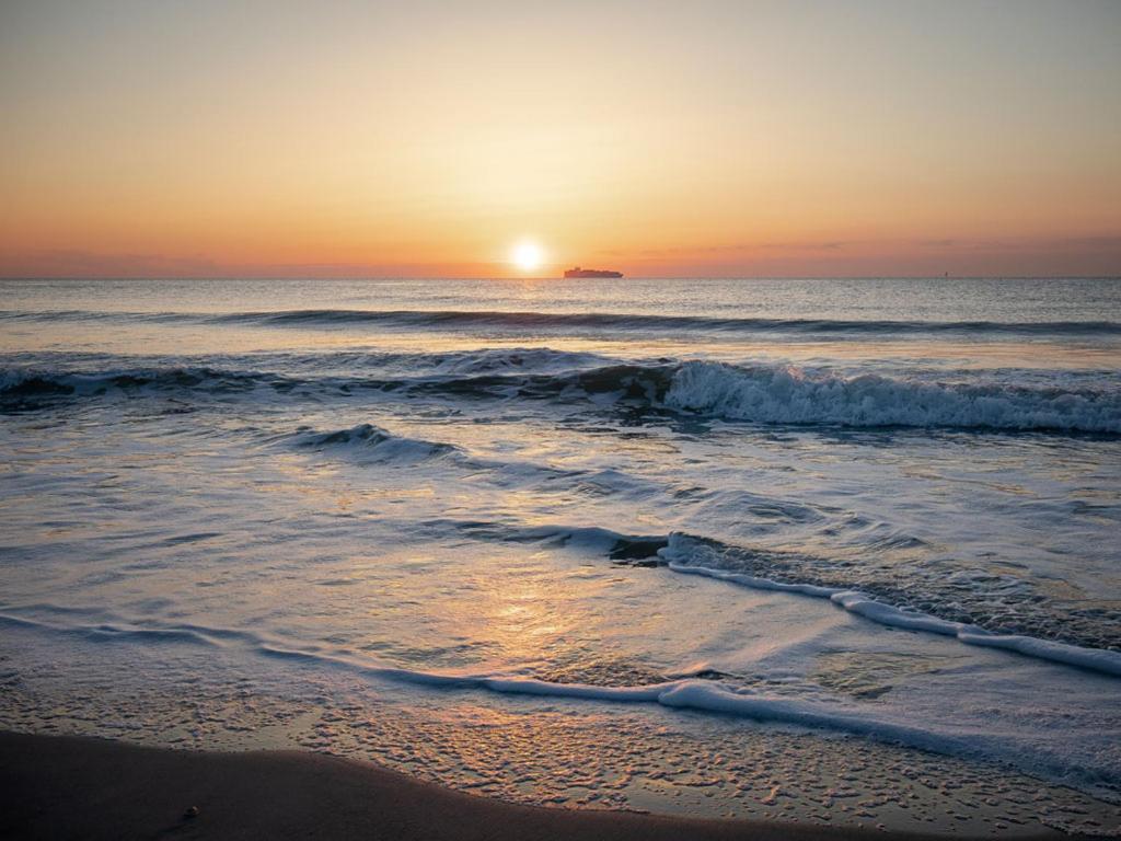 The Vue 238 Apartment Pulau Tybee Luaran gambar